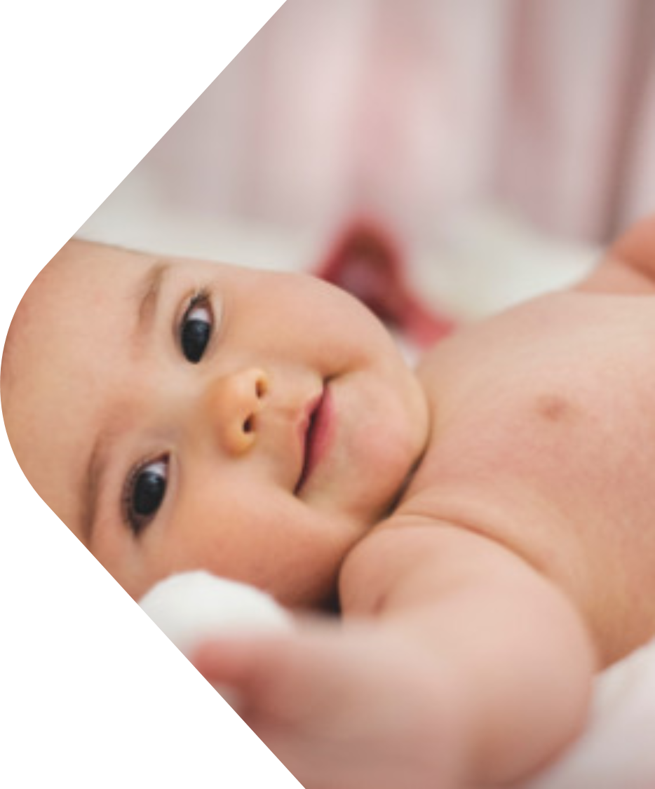 幼儿照护智能实词平台